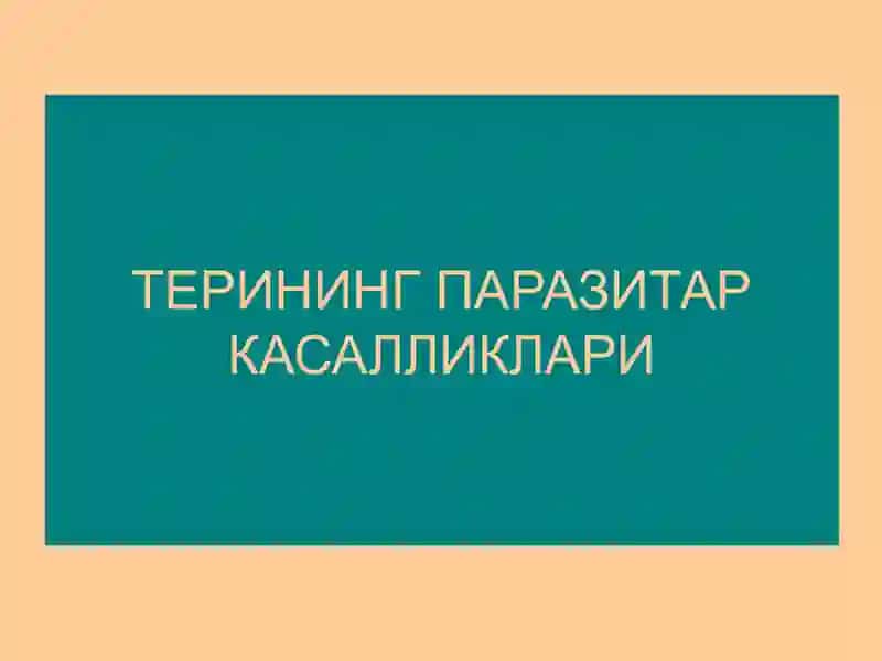 Терининг паразитар касалликлари 2