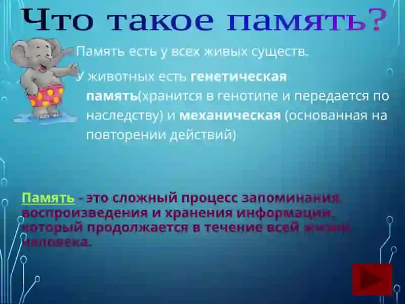 ПАМЯТЬ ВИДЫ 2