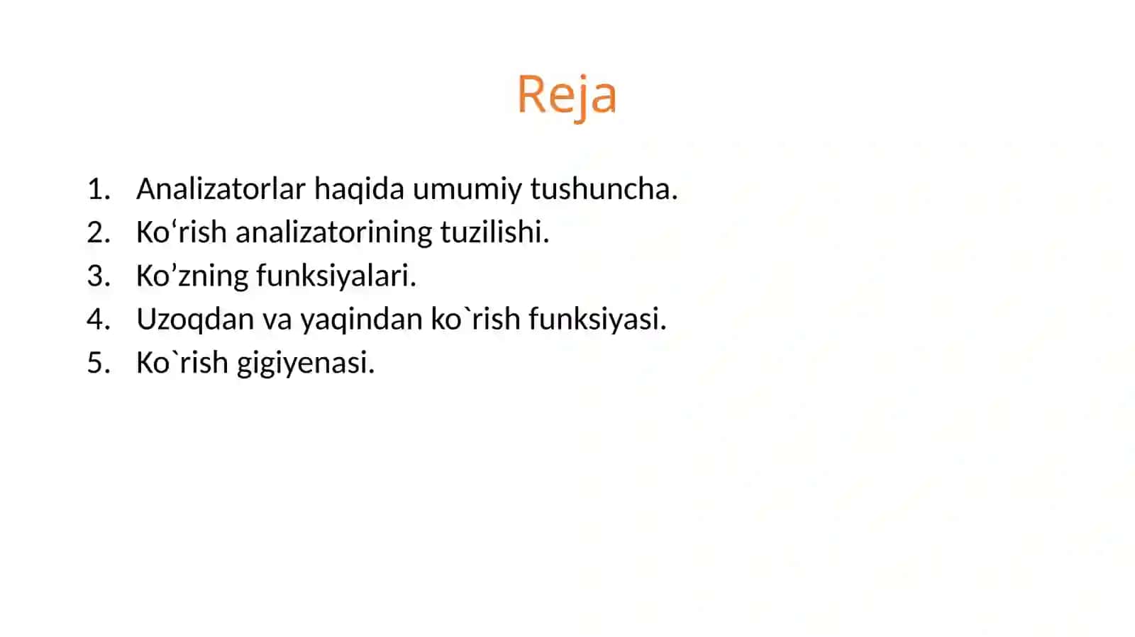 Ko'rish analizatori 2