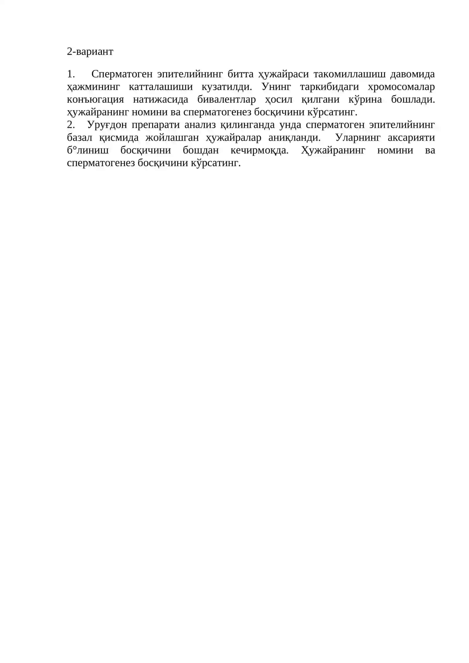 Сперматоген епителийнинг битта ҳужайраси 2