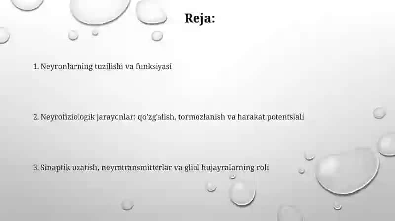 Neyronlarfiziologiyasi 2