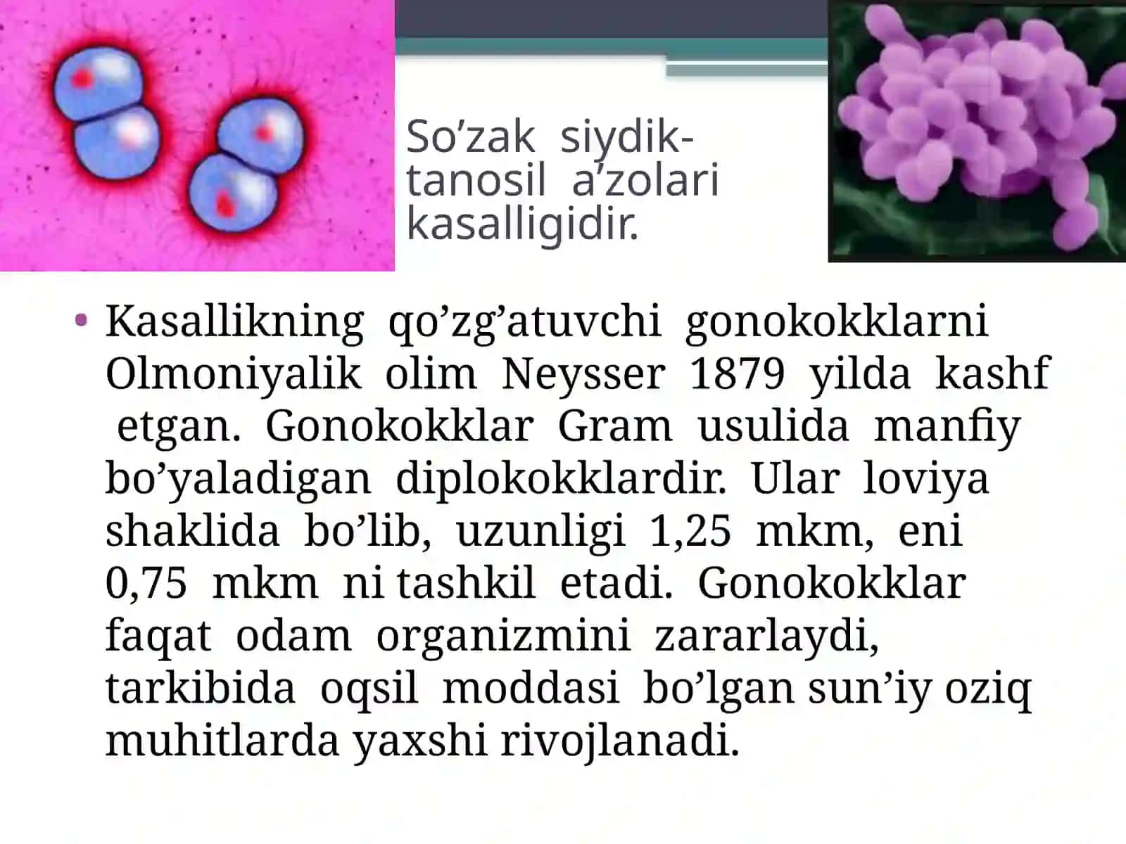 So'zak kasalligi 2