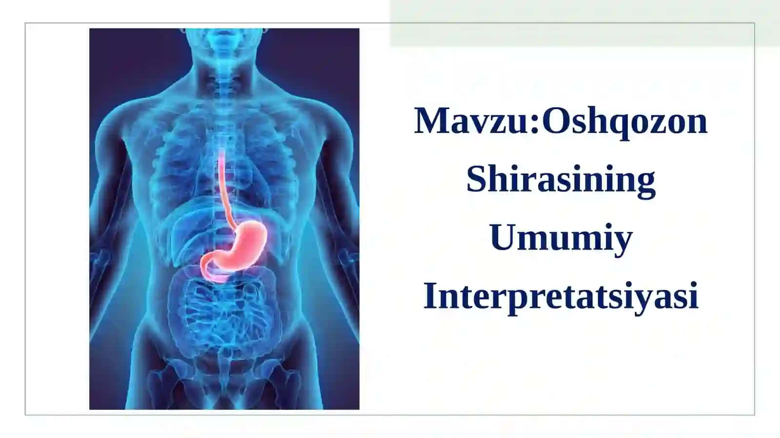 Oshqozon shirasining interpretatsiyasi 2