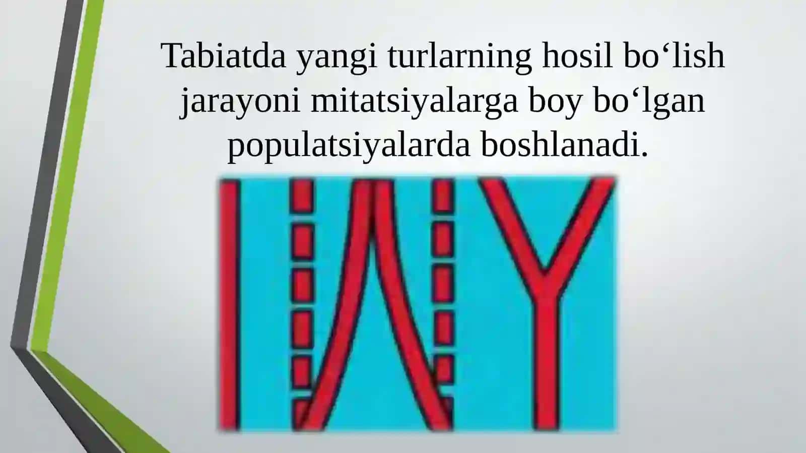 Turlarning paydo bo`lishi 2