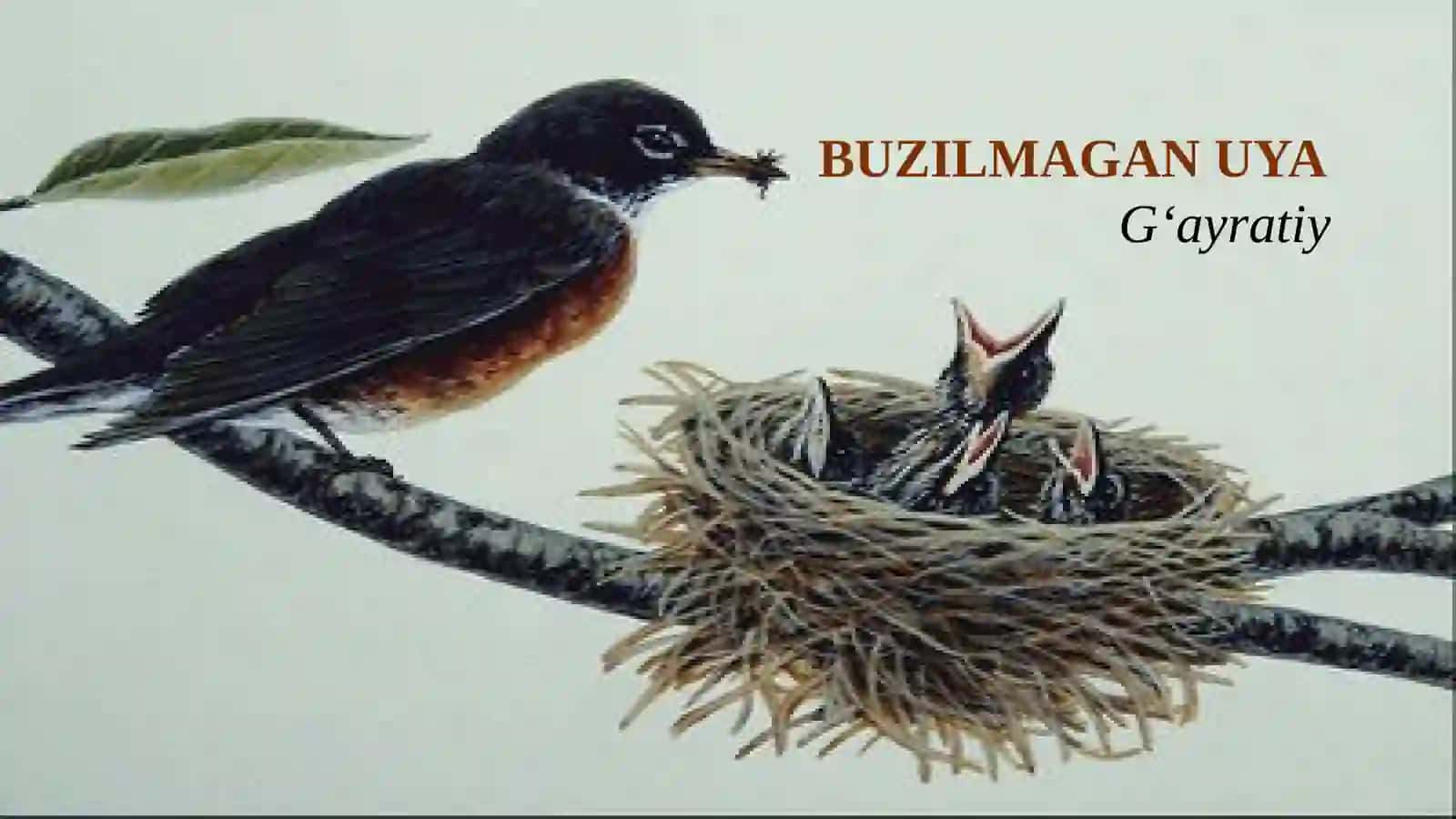 BUZILMAGAN UYA 2