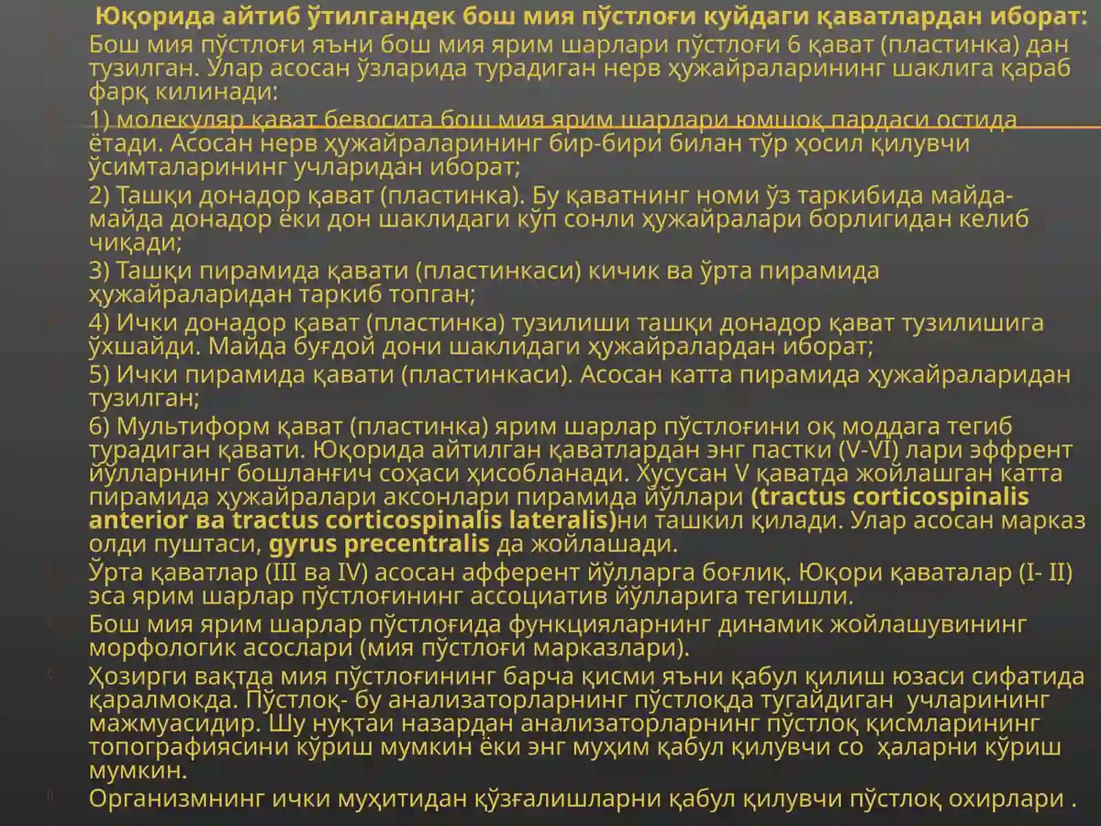 Бош мия пўстлоғи 2