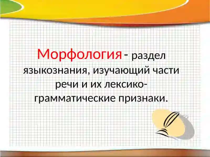 Морфология 2