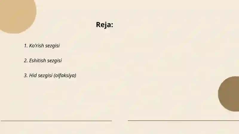 Sezgi turlari 2