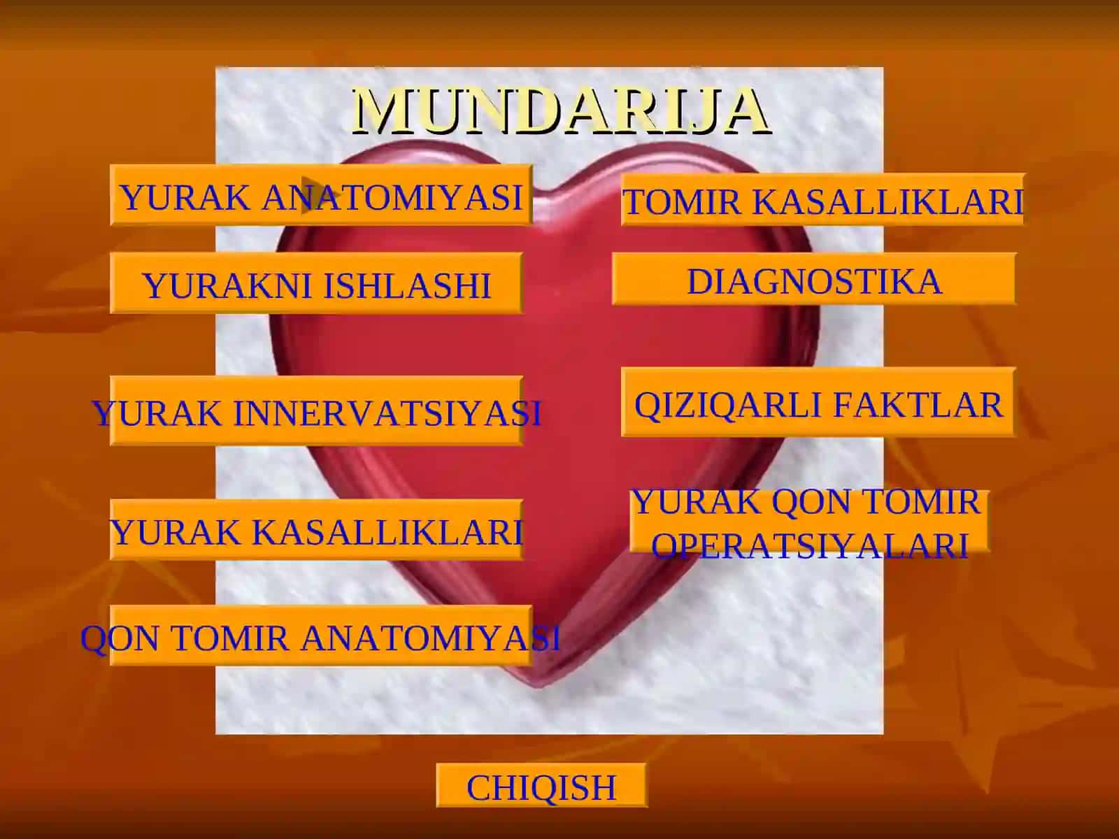 YURAK ANATOMIYASI 2