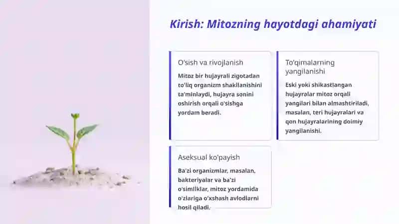 Mitoz 2