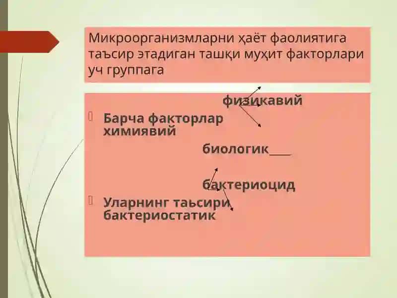 Микроорганизмларга таъсир 2