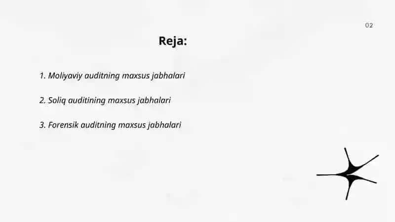 Moliyaviy auditning maxsus jabhalari 2