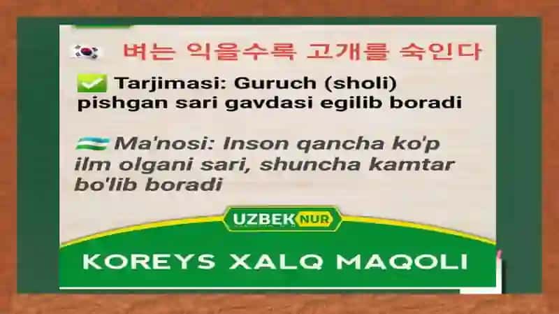 Koreysmaqollari 2