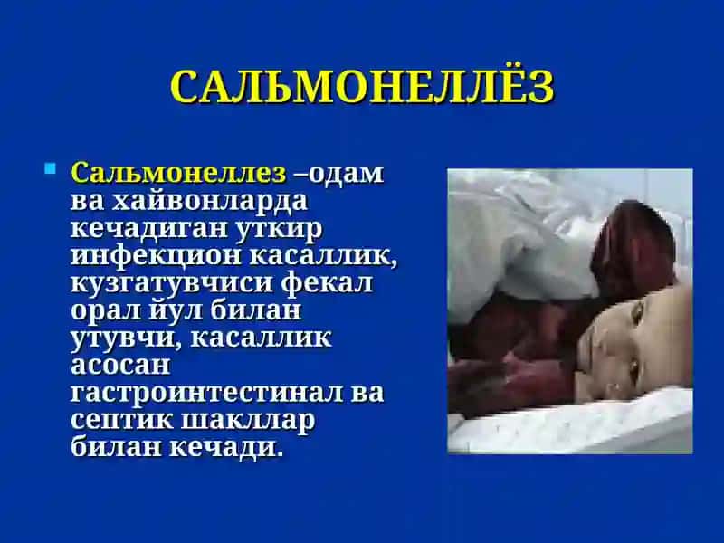 Сальмонеллез 2