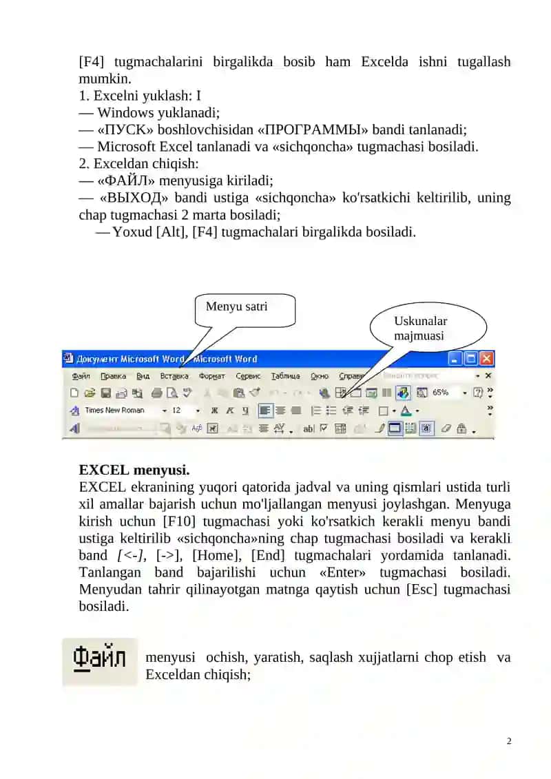 Microsoft Excel 2