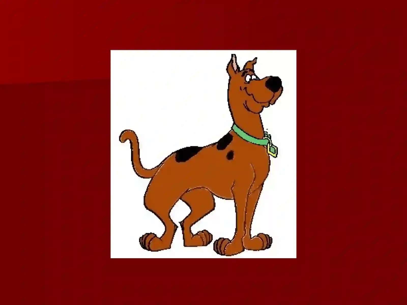Cartoon quizrikg 2