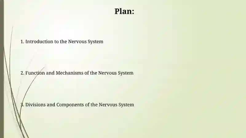 Nervus system 2