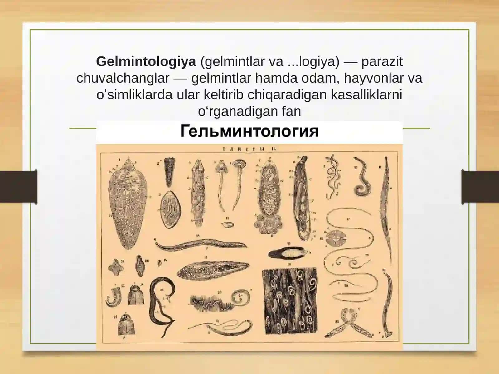 Gelmintologiya 2