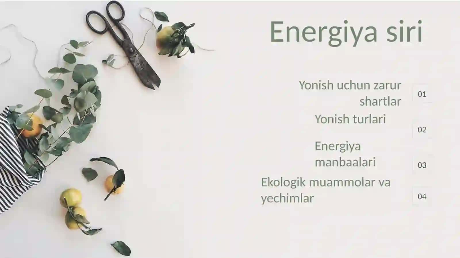 Energiya-siri 2