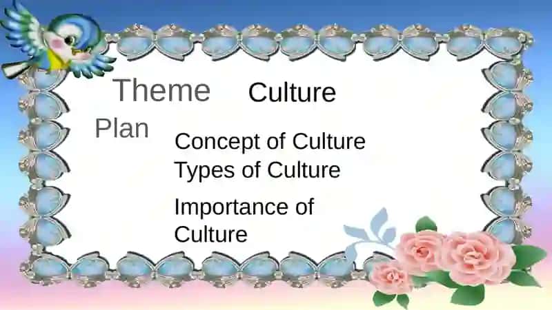Culture Presentation 2