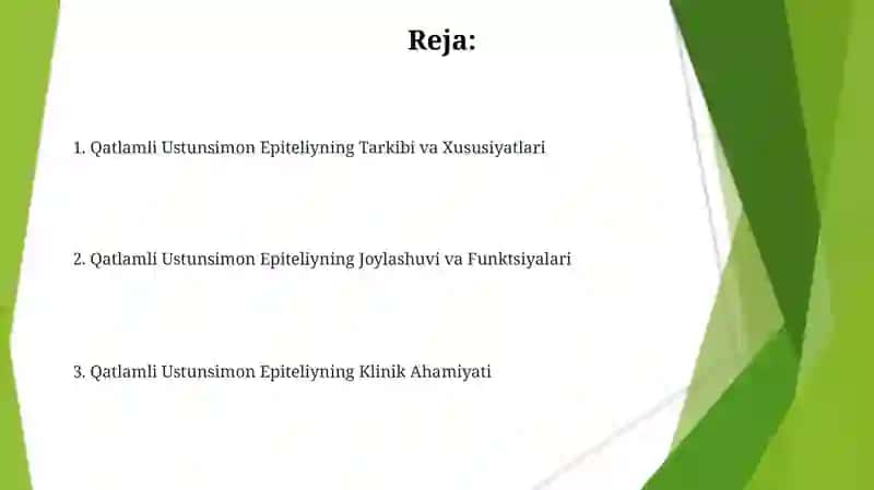 Qatlamli Ustunsimon Epiteliy 2