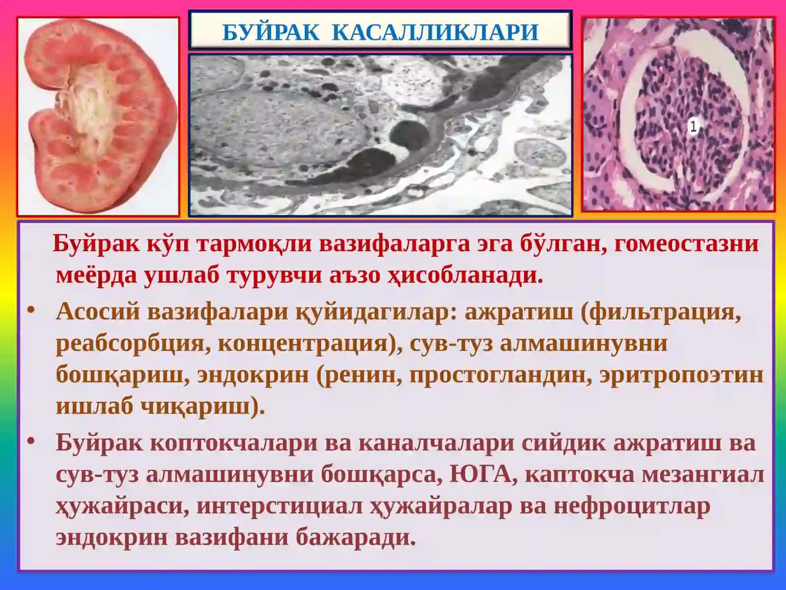 Буйрак касалликлари 2