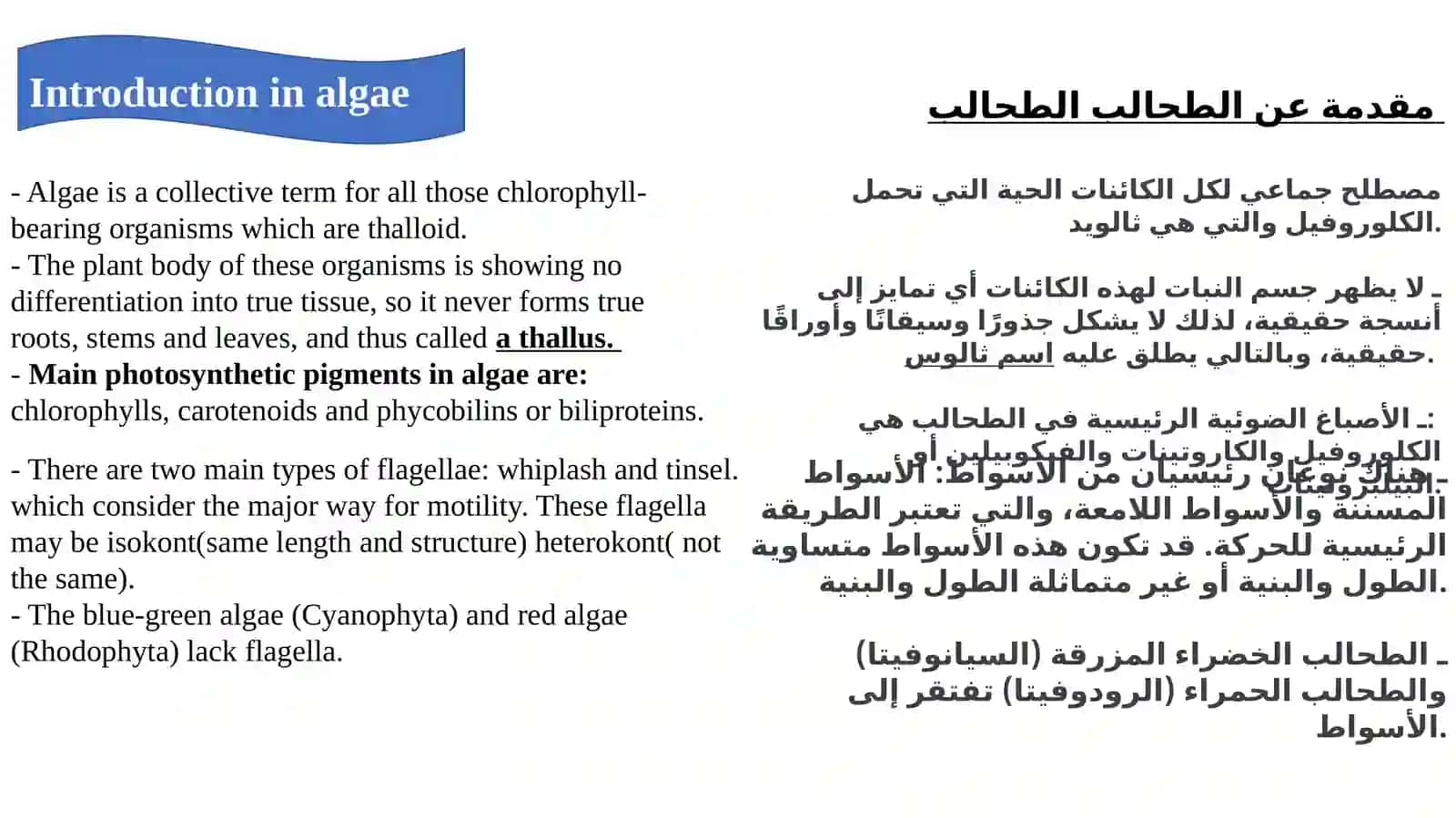 Practical Plant Groups Lab. 1 2