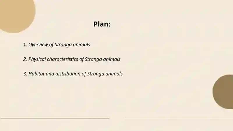 Stranga animals 2