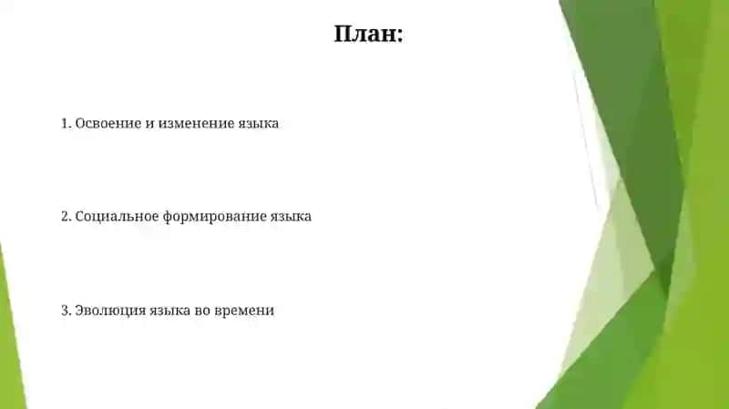 Язык как развивающееся явление 2
