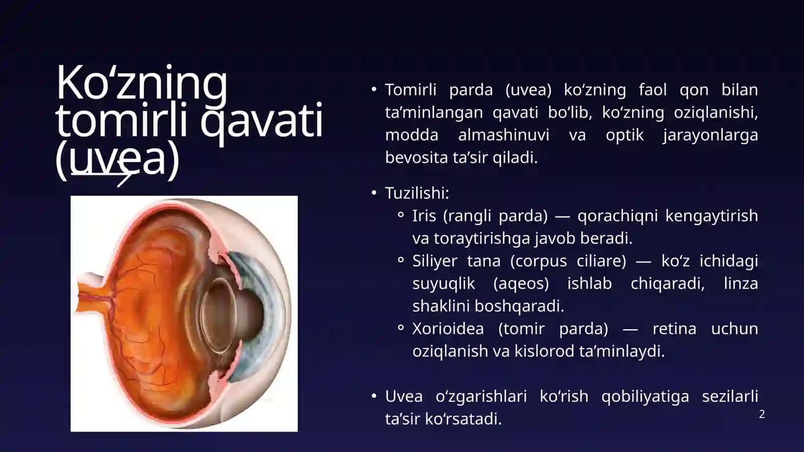 Tomirli qavat kasalliklari 2