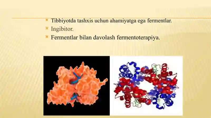Fermentlar faolligining oshirilishi 2