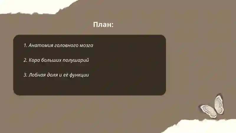 Головной мозг 2