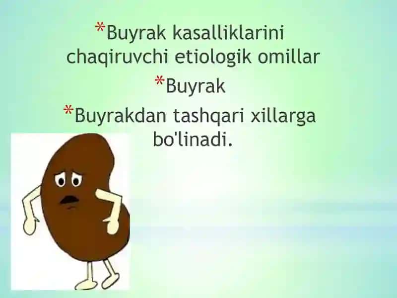 Buyrak kasalliklari 2