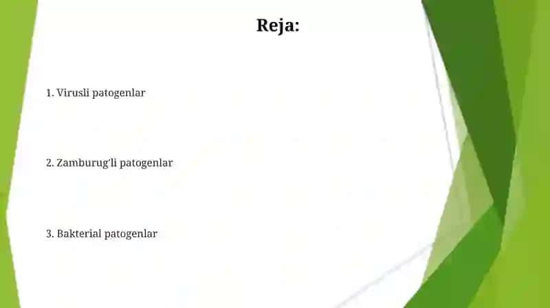Patogenmikroorganizmlar 2