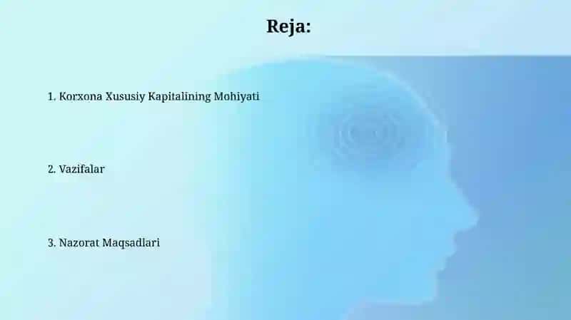 Xususiy kapitalning mohiyati 2