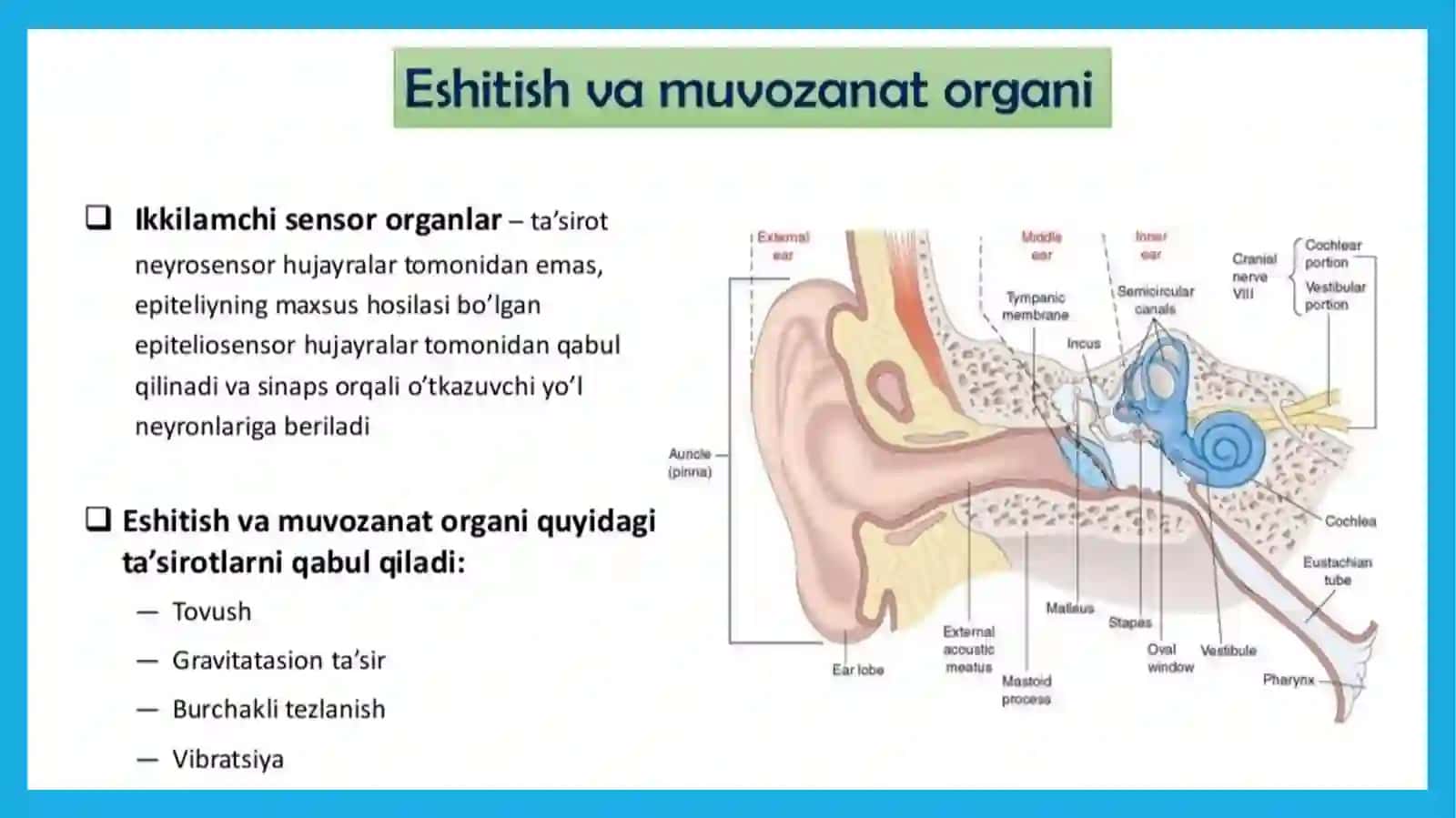 Eshitishazosi 2