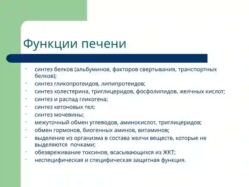 Патофизиология печени 2