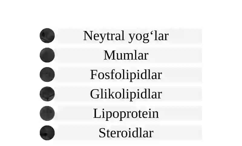 Lipidlar 2