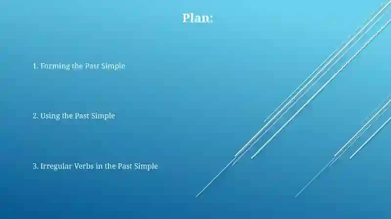 Past simple tense 2