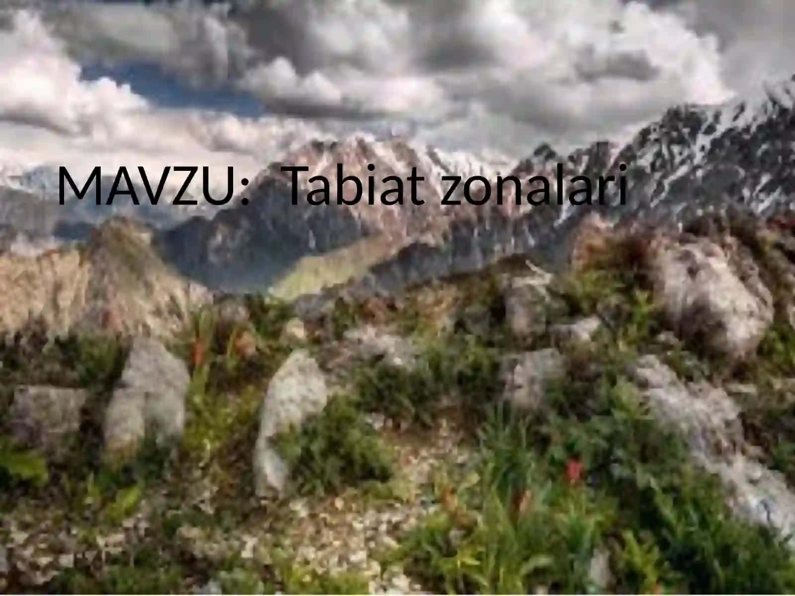 Tabiat zonalari 2
