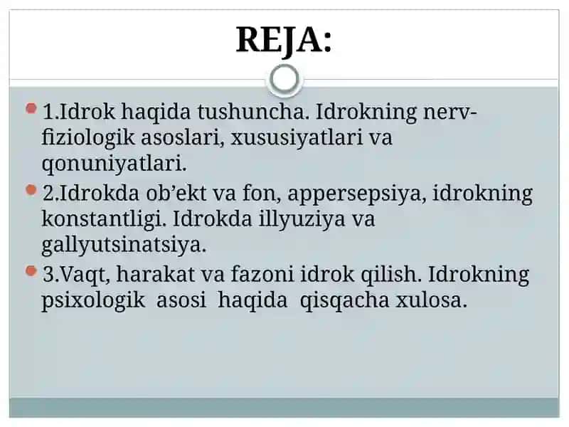 IDROK 2