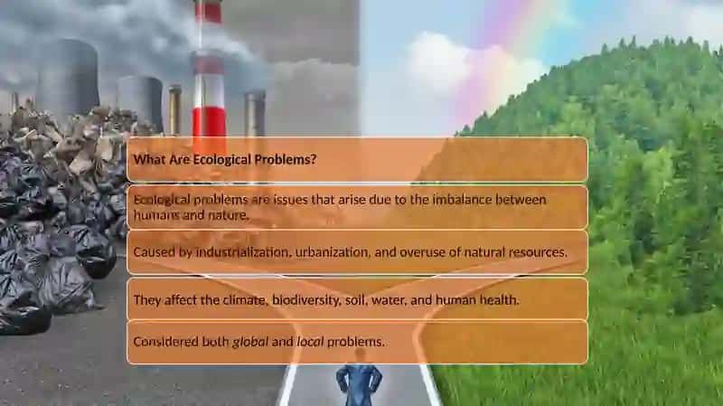 Air Pollution 2