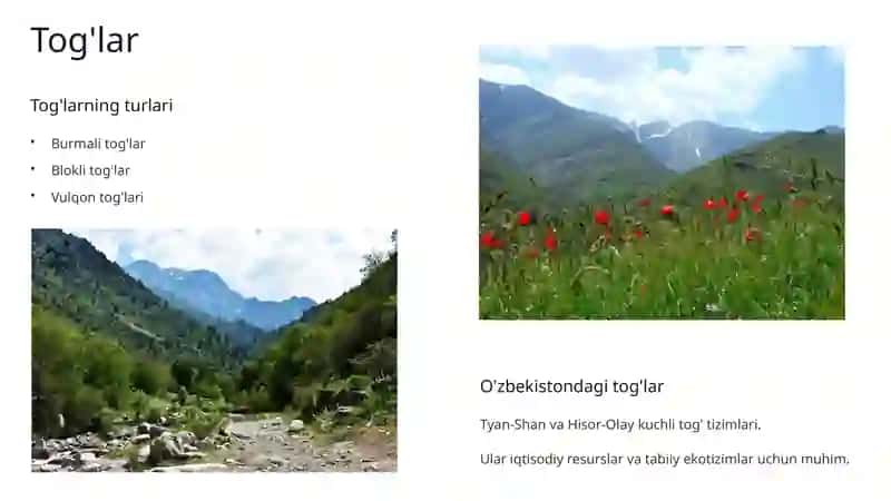 Yer relyefining asosiy shakl va turlari 2