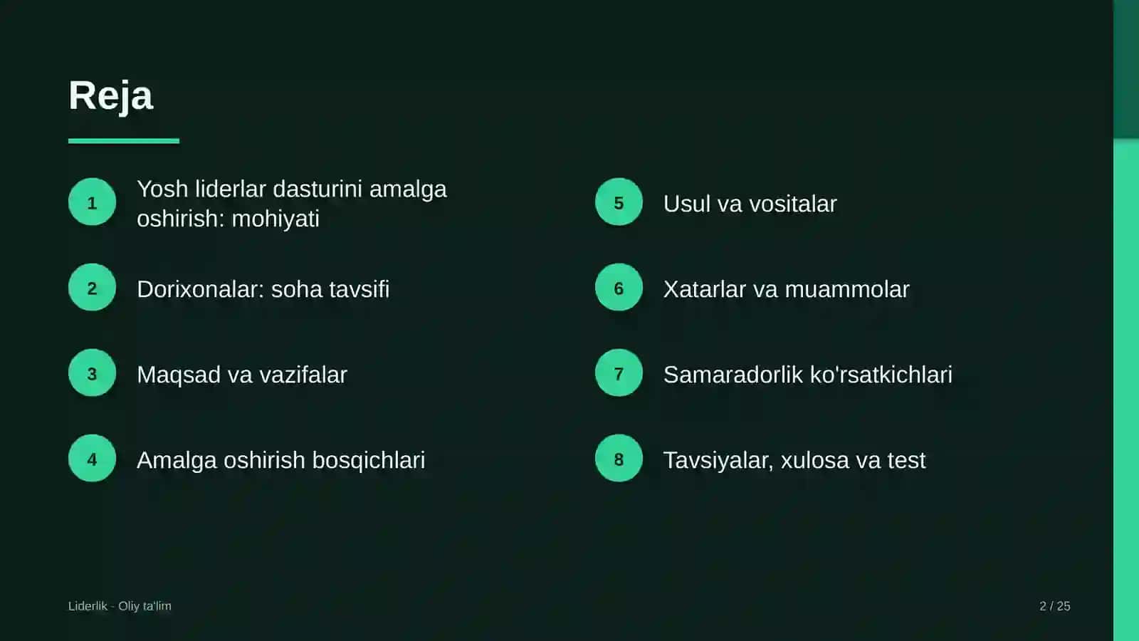 Dorixonalarda yosh liderlar dasturini amalga oshirish 2
