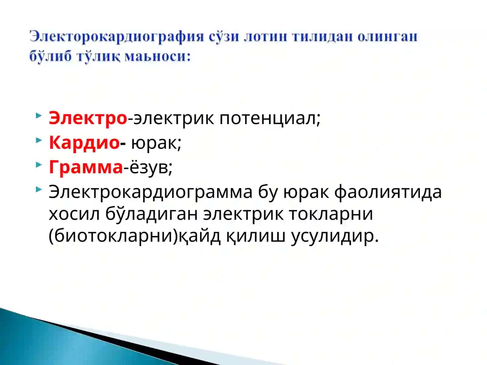 Электрокардиограмма 2