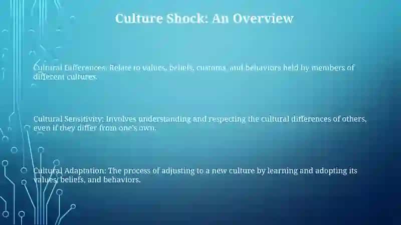 Culture Shock 2