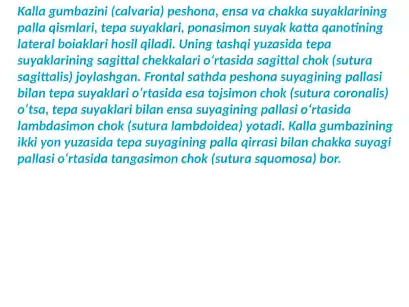 Kalla gumbazini 2