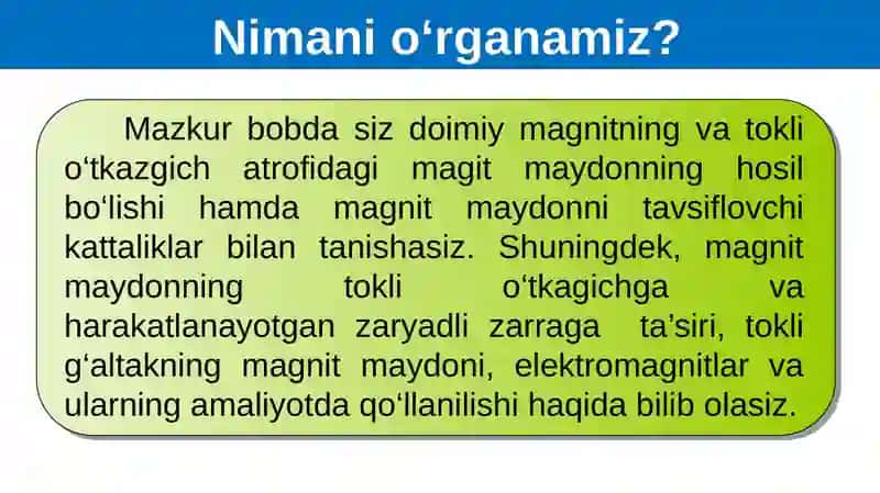 MAGNIT MAYDON 2