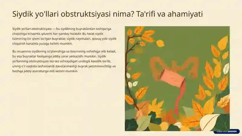 Siydik yo'llari obstruktsiyasi 2