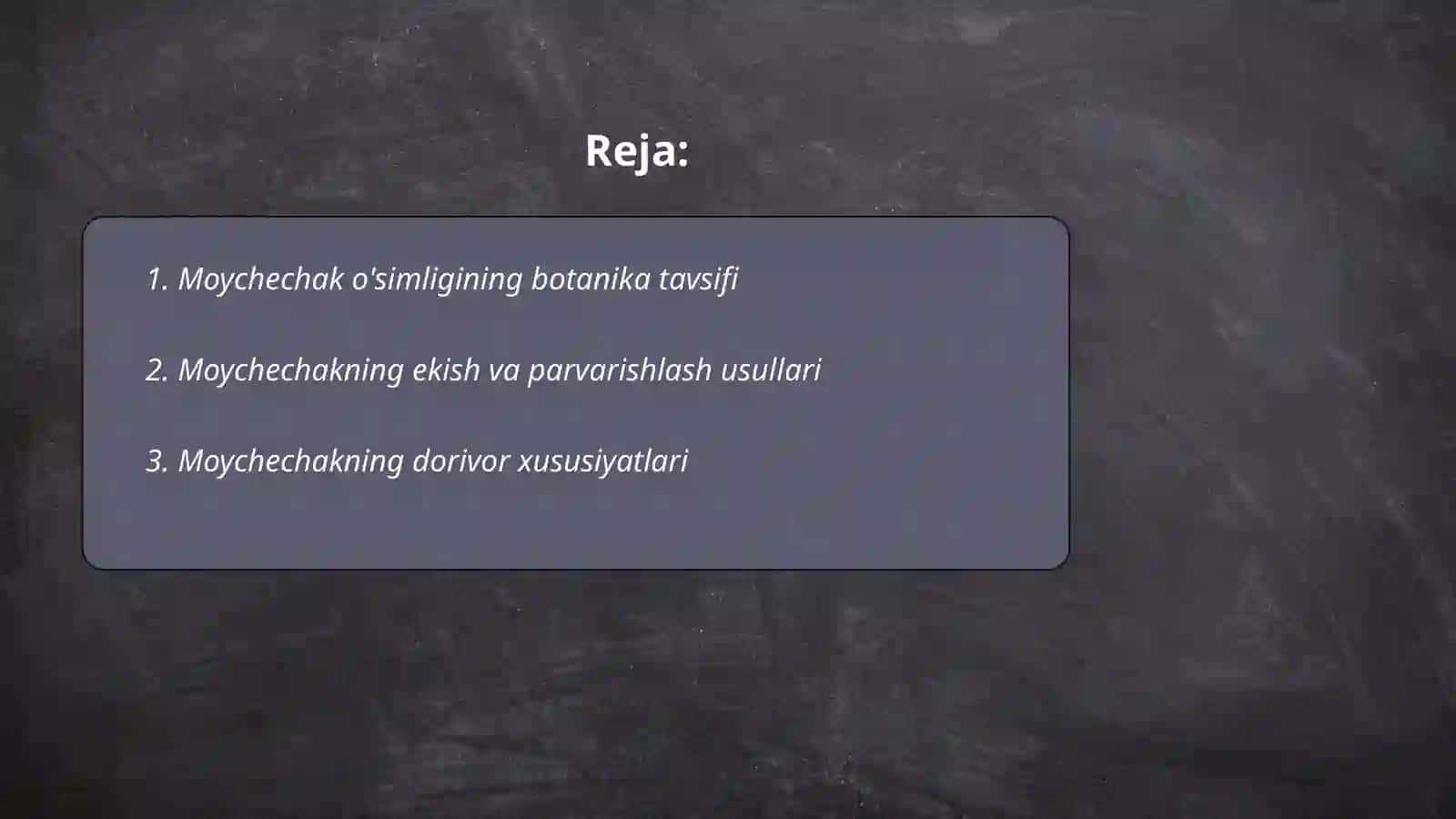 Moychechak o'simligi 2